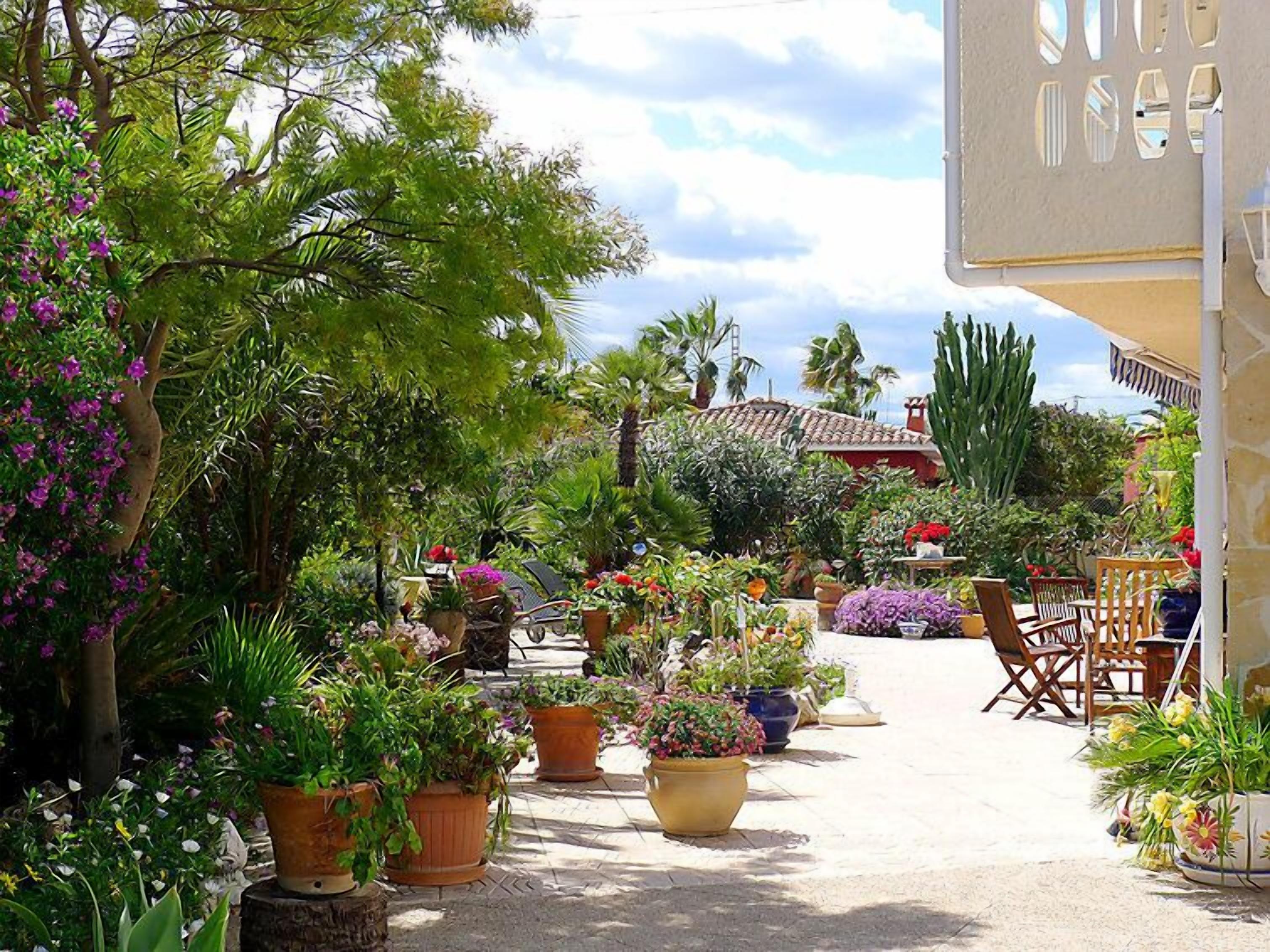 An outdoor garden area with potted plants and outdoor furniture.