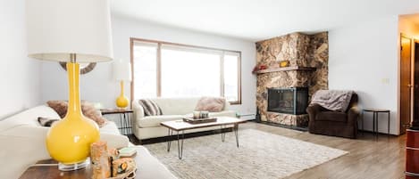 Smart TV, fireplace, books
