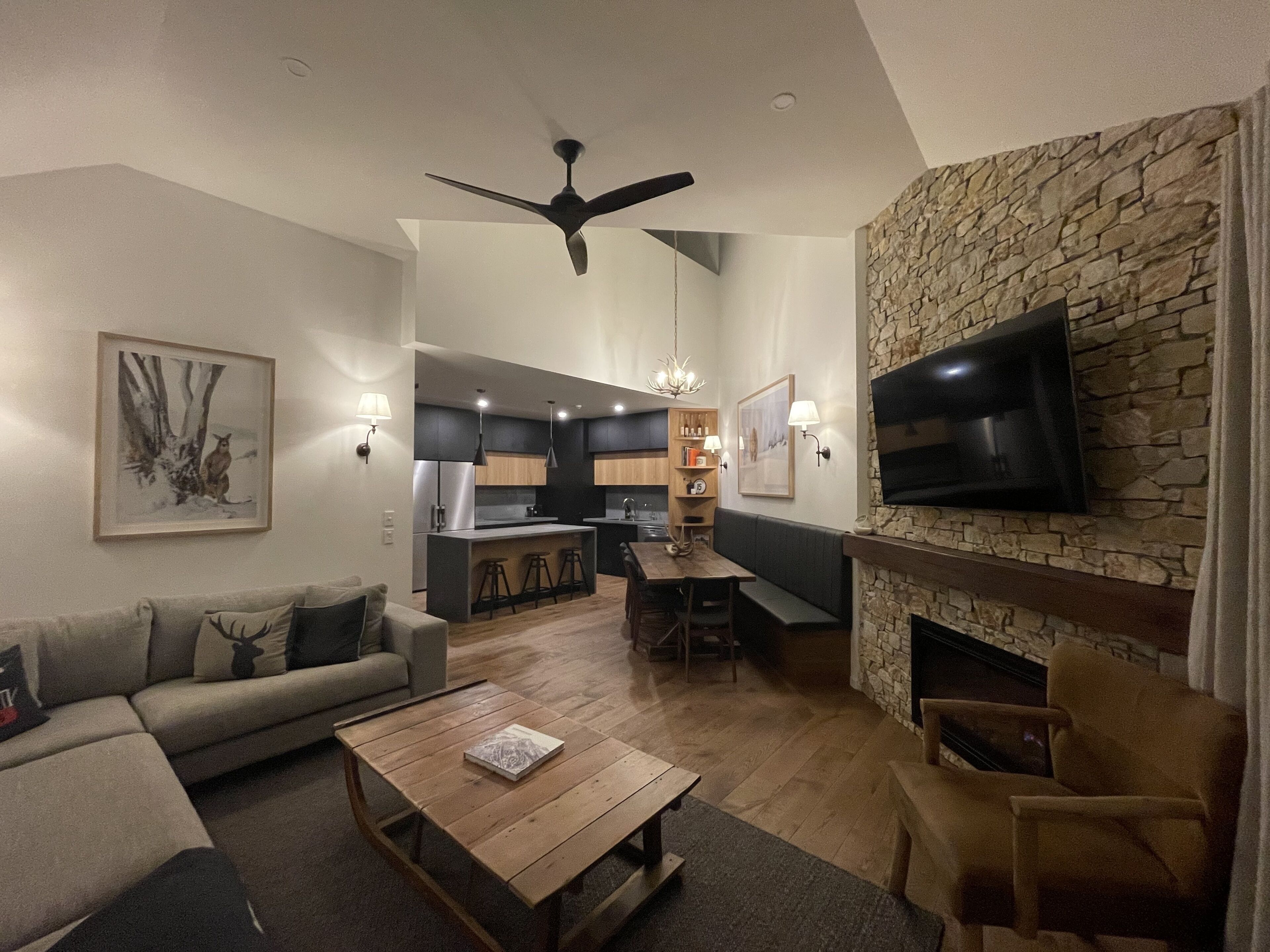 Smart TV, fireplace, books, stereo