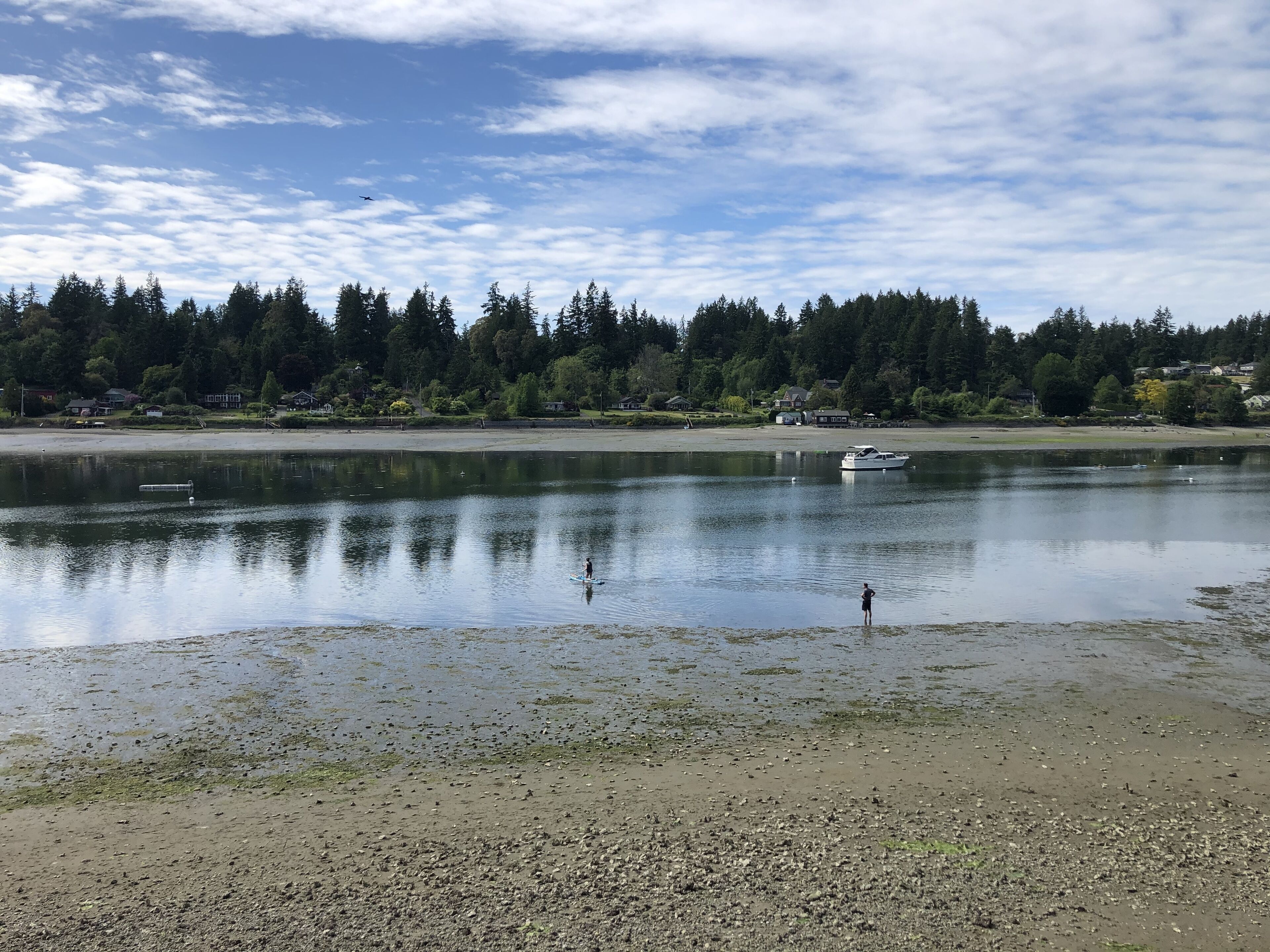A calm lake with a boat, a person standing on the shore, and a forested shoreline.