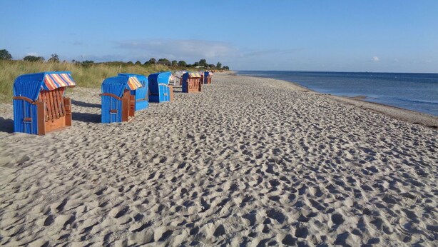 A beach with rows of wooden beach huts and a sandy shoreline. - Reetdachkate im Herzen Angelns (Schnarup-Thumby)