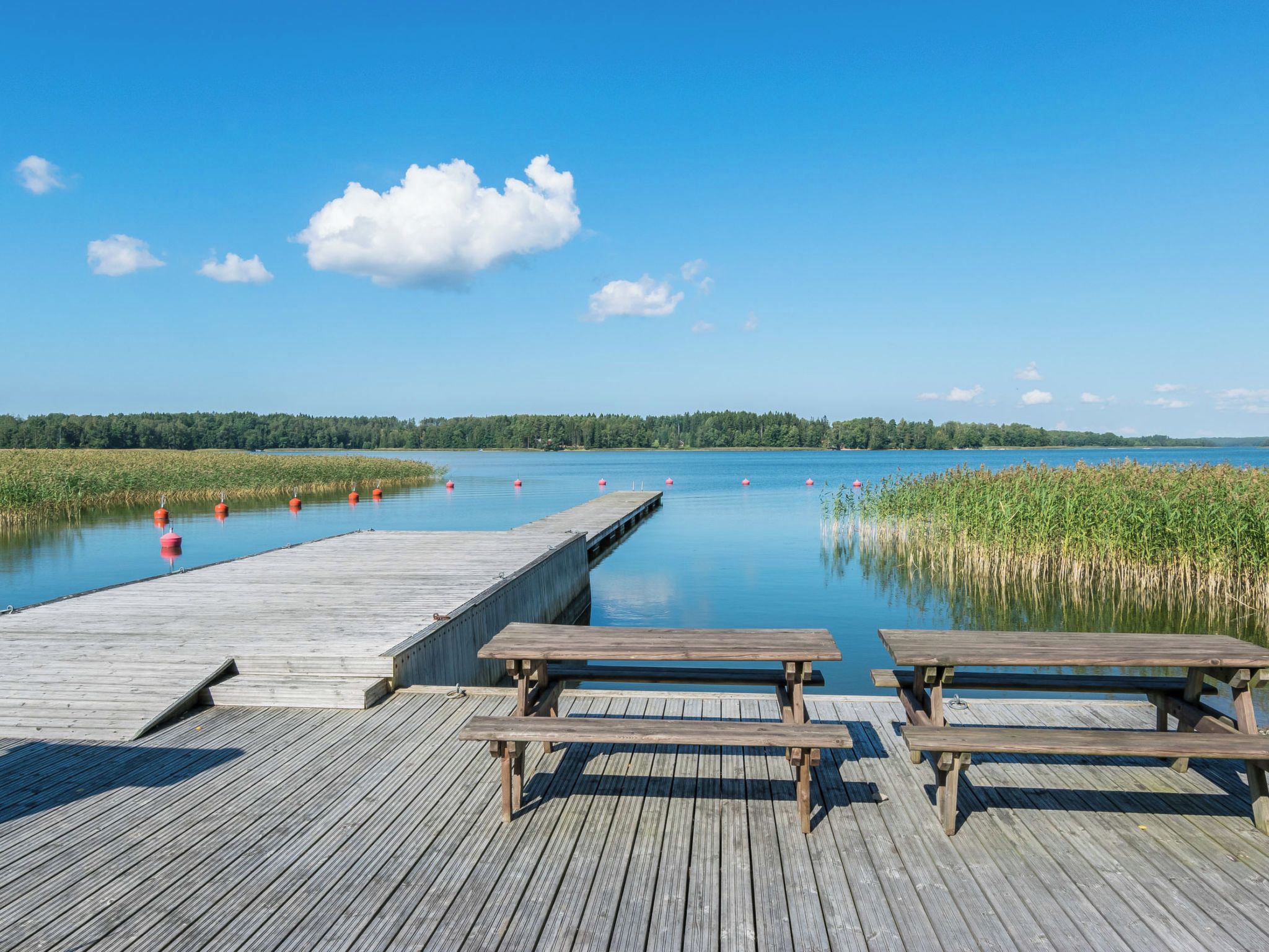 Un muelle de madera con mesas de picnic se extiende sobre aguas tranquilas, rodeado de juncos y un cielo despejado.