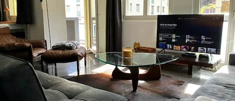 Télévision, cheminée, lecteur de DVD