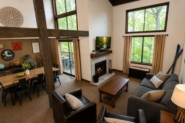 Smart TV, fireplace, video games, books