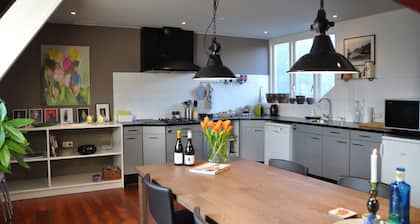 Cozy House in Harlingen city center for pleasure and work
