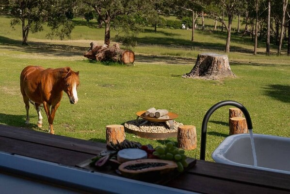 Un cheval broute dans un champ verdoyant, à proximité d’une terrasse en bois rustique, d’un foyer et d’un évier.