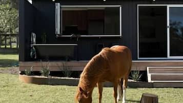 Enceinte de lâhĂ©bergement