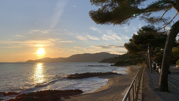 Vista del atardecer sobre la costa, con un paseo pavimentado y árboles.