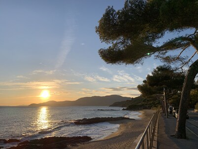 Papillon 🦋 — sunny bliss for max. 4 holiday-makers