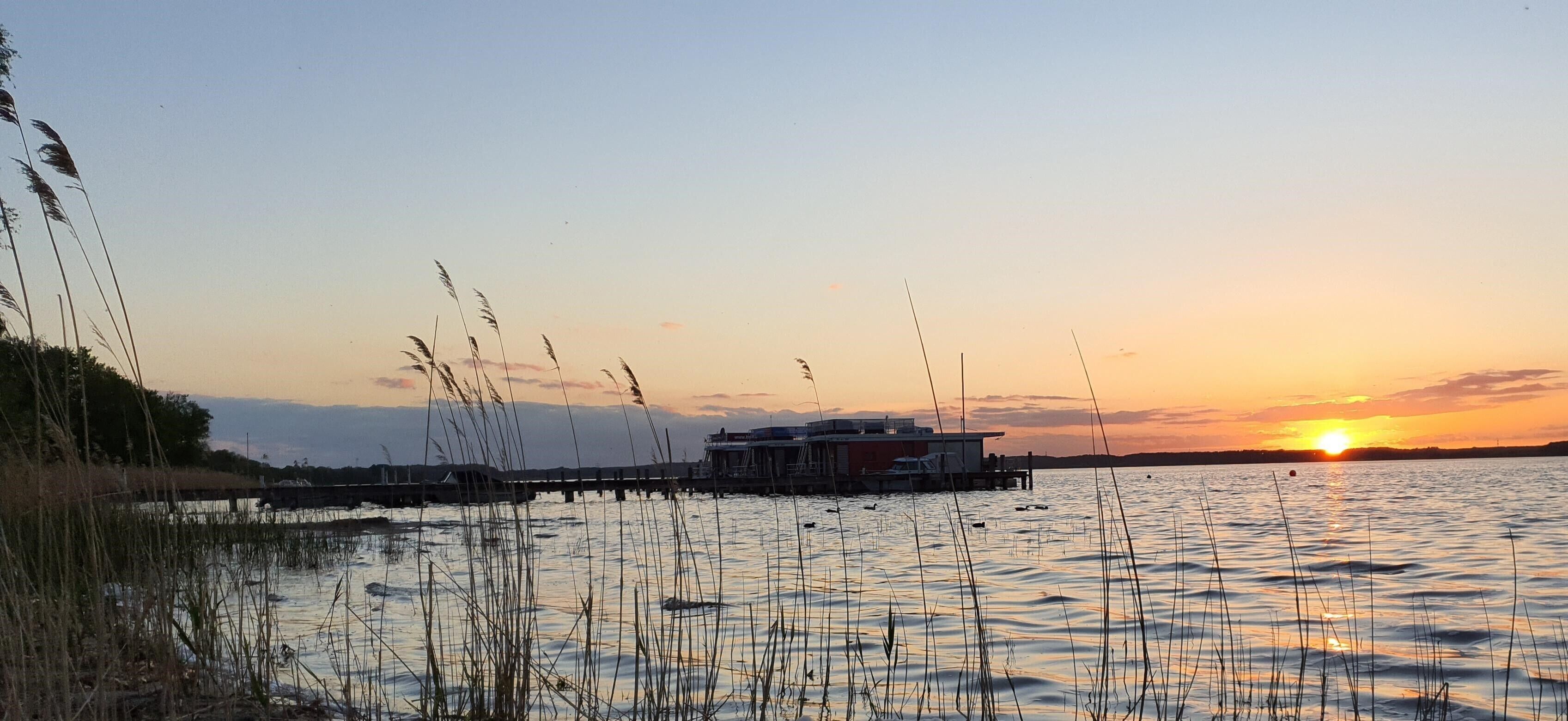 A waterfront property with a dock extending into the water, surrounded by tall grasses.