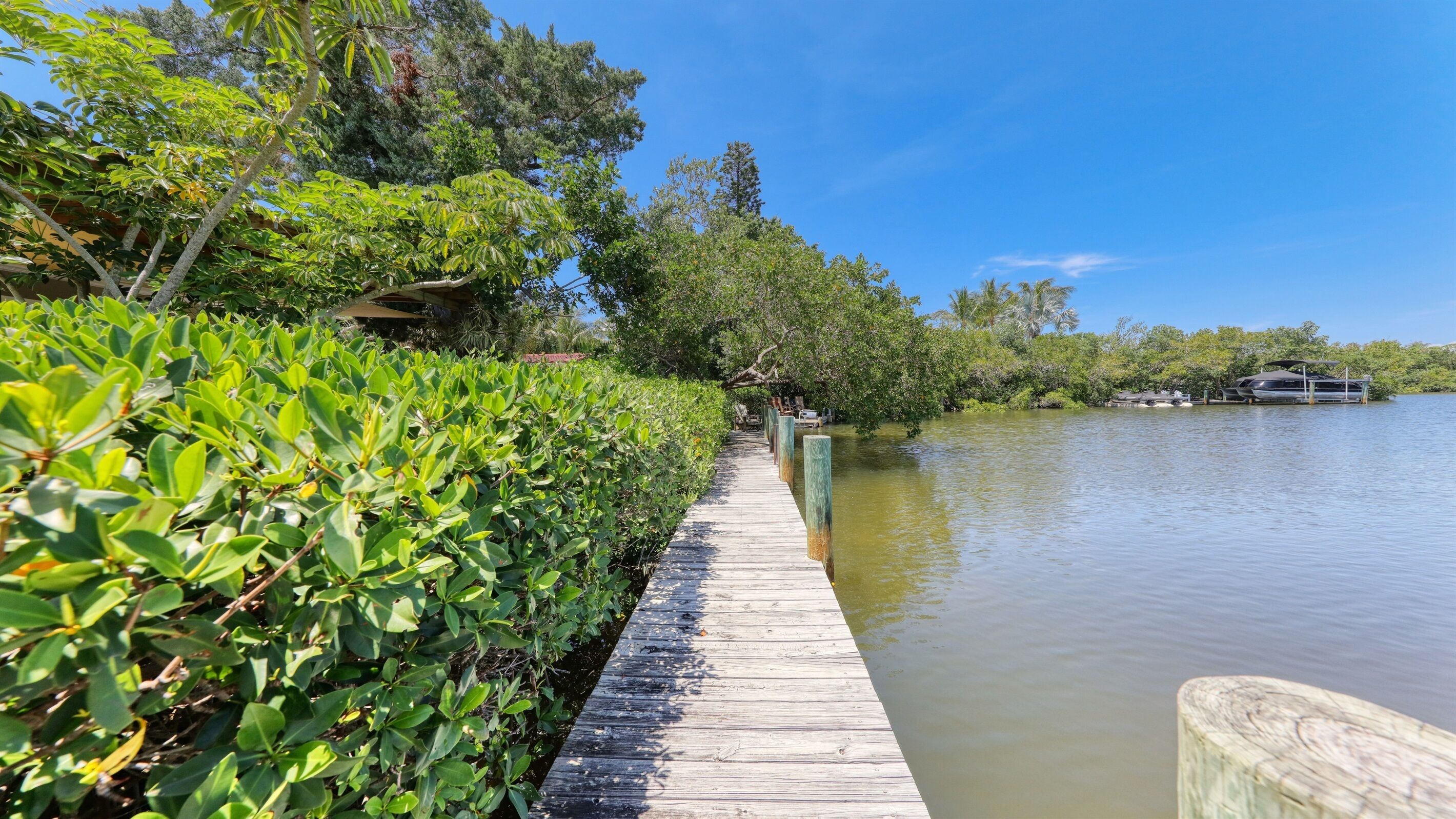 A wooden boardwalk along a calm body of water, surrounded by dense green foliage and trees.
