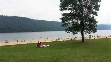 Enjoy a peaceful lakeside retreat with a grassy area, sandy beach, and a shaded tree.