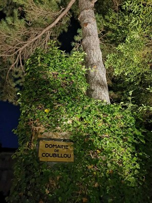 Welcome to Domaine de Coubillou, surrounded by lush greenery and serene natural beauty.