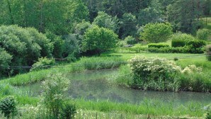 Un paysage verdoyant et luxuriant, avec un étang, des arbres denses et une clôture.