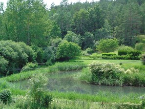Surrounded by lush trees and a tranquil body of water.