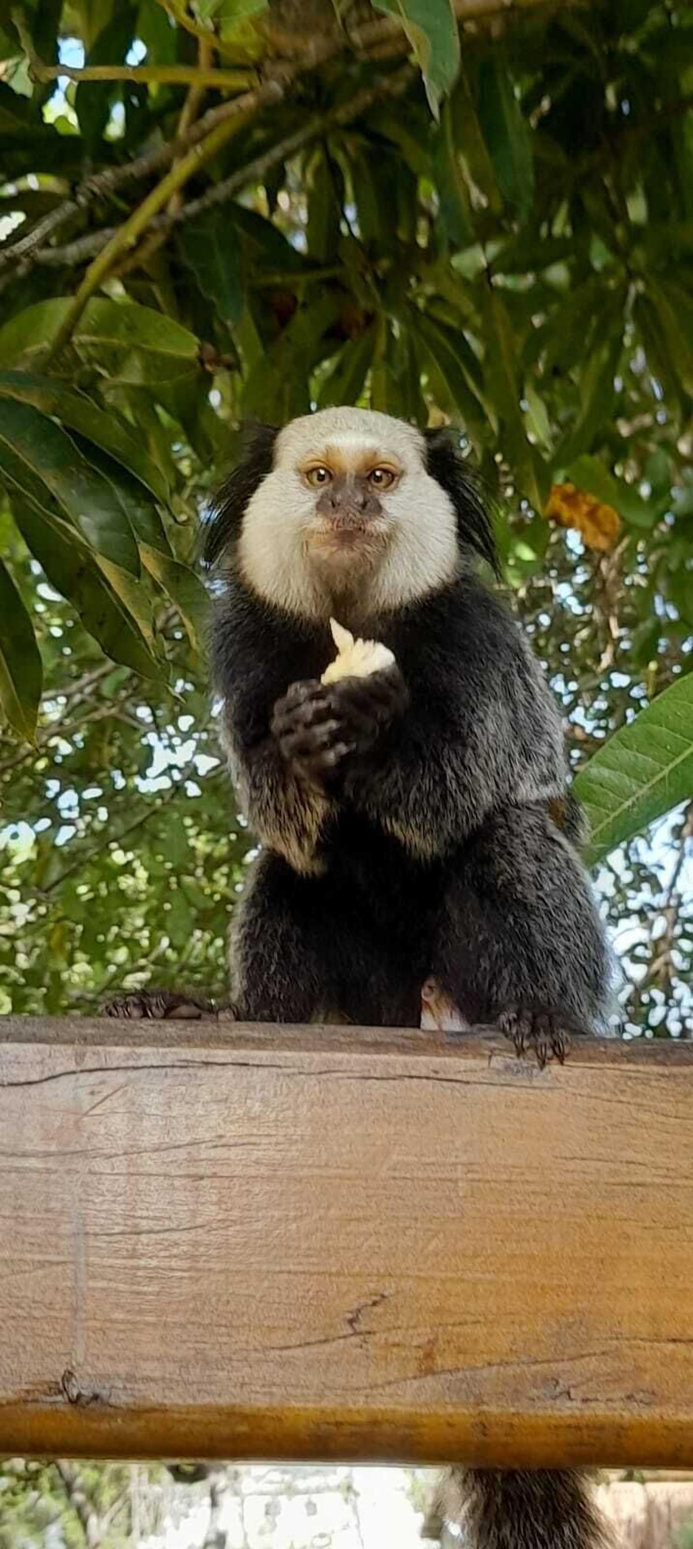 Photo - Pousada Beach Bahia