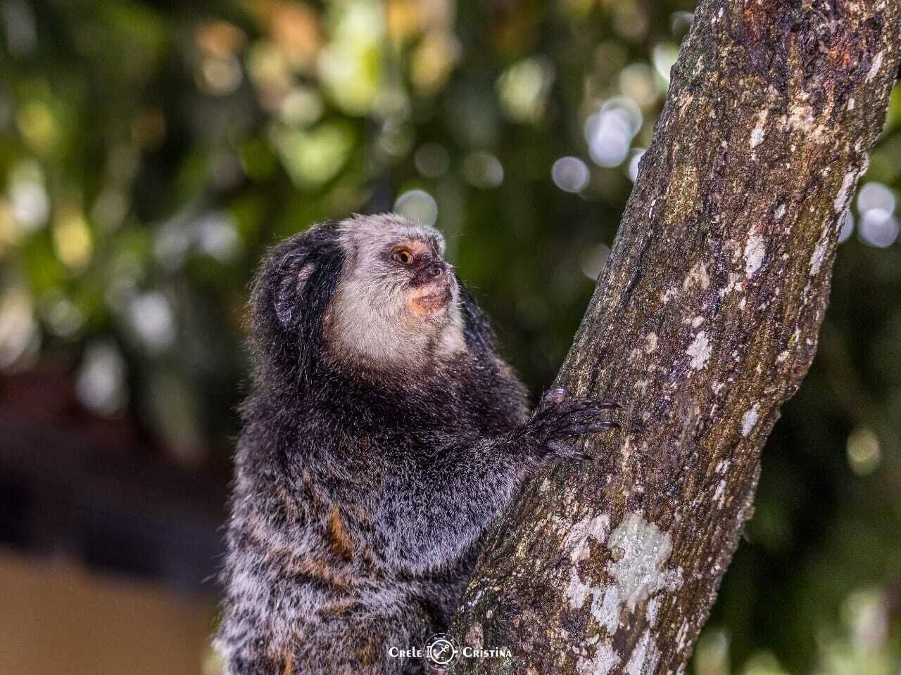 Photo - Pousada Beach Bahia