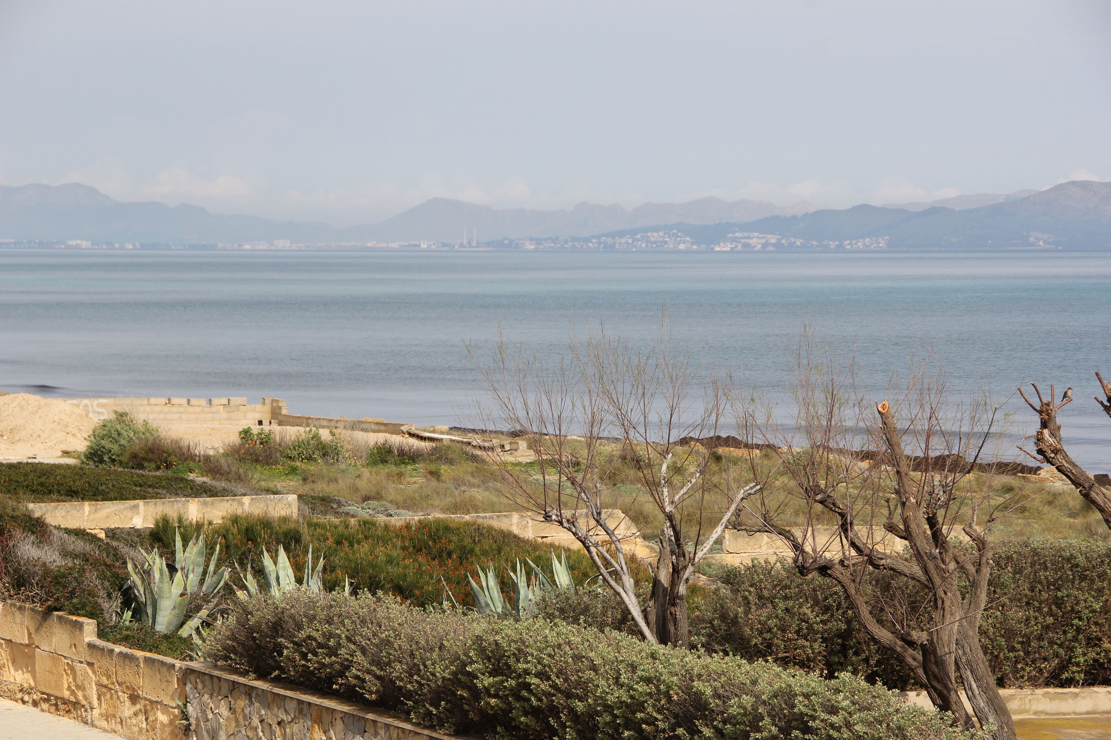 A coastal landscape with a view of the sea and distant mountains.
