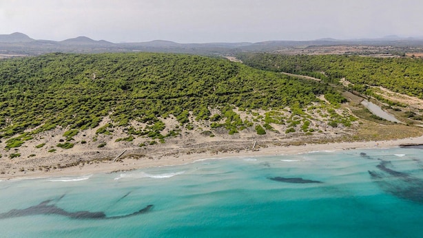 Luchtbeeld van een kustgebied met een strand, helder turquoise water en een dichtbegroeide groene heuvel.