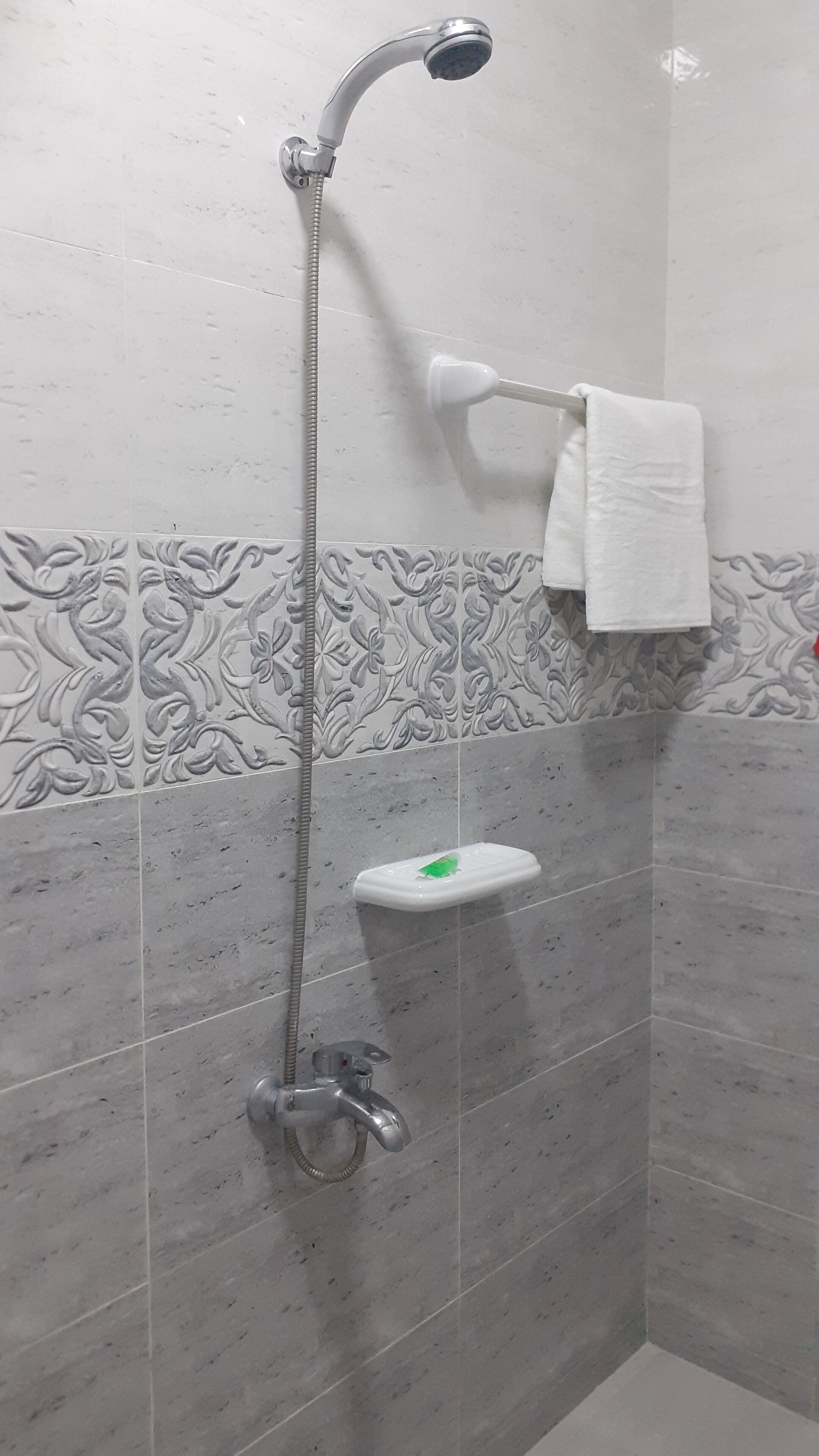 A shower area with a handheld showerhead, a towel rack, and a soap dish.