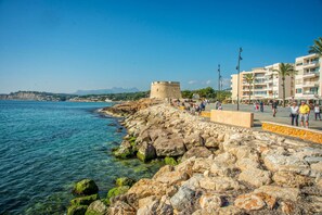 Unclassified image, 2 of 21, button