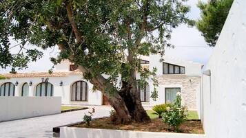 Terrein van de accommodatie