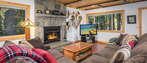 Smart TV, fireplace, DVD player, books