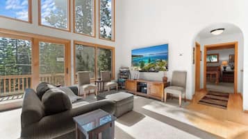 Smart TV, lareira, DVD player, livros