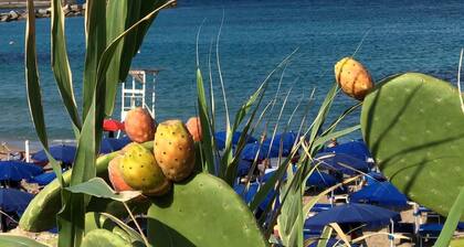 Sa Petra Ruia di Gianni