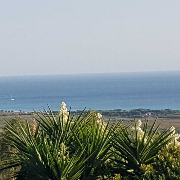 Un paysage côtier offrant une vue sur la mer et une ligne de côte lointaine.
