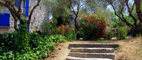 Terrein van de accommodatie