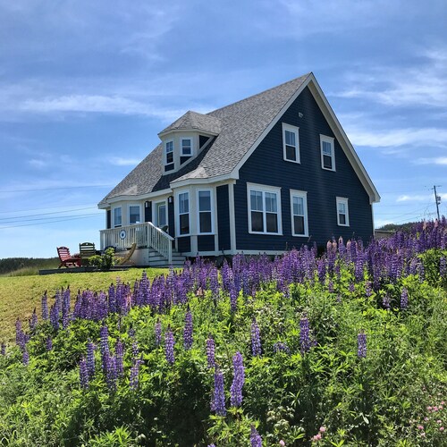 Stunning Ocean View Vacation Home, Trinity NL