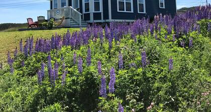 Stunning Ocean View Vacation Home, Trinity NL