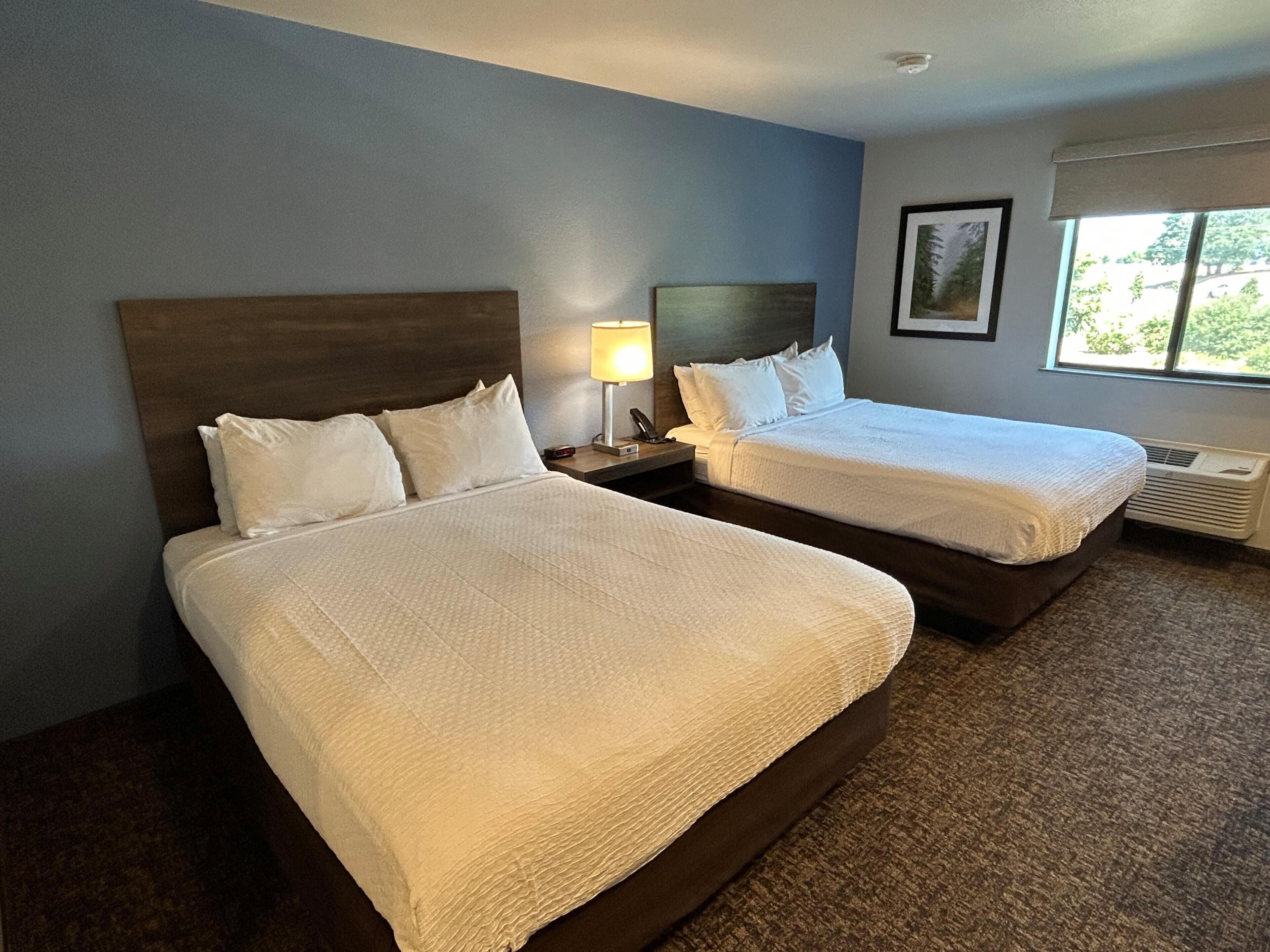 A hotel room with two beds, a nightstand with a lamp, a framed picture on the wall, and a window with a view of greenery.