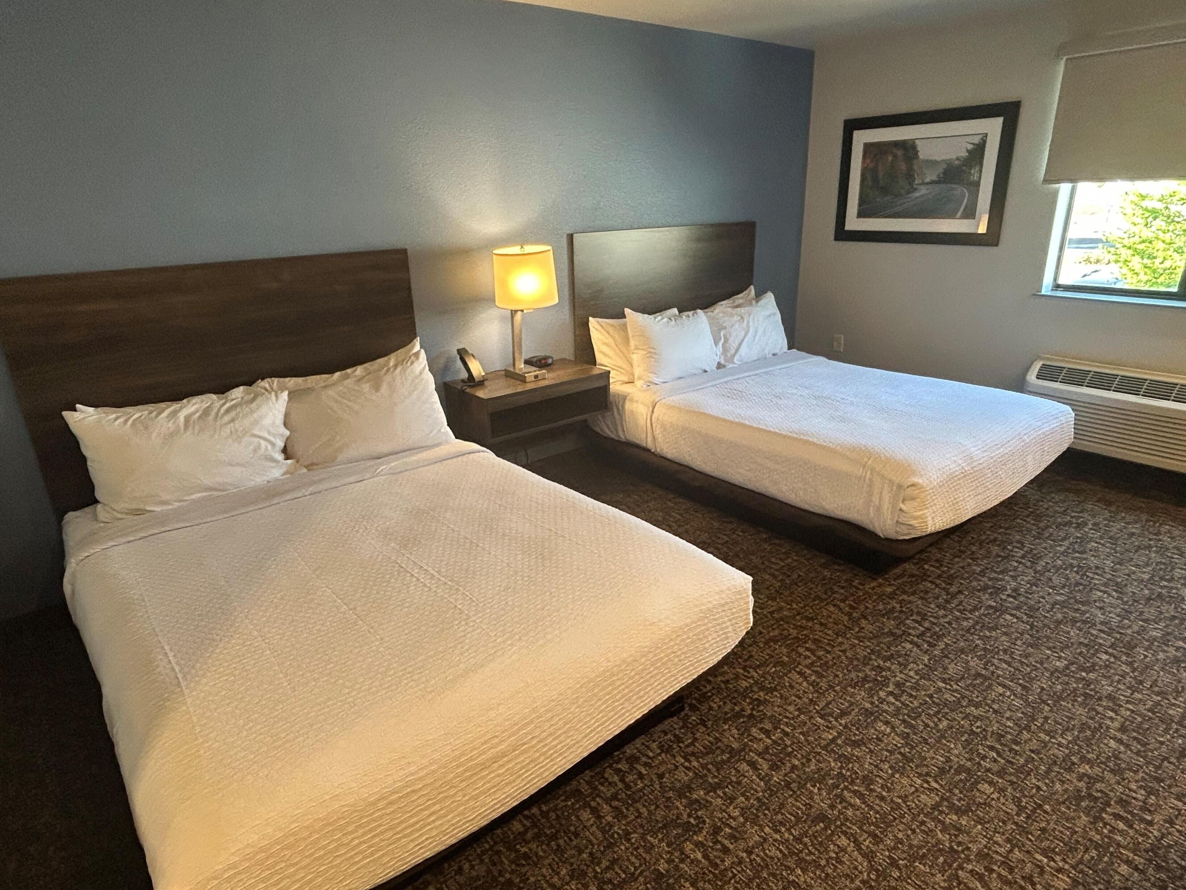 A hotel room with two beds, a nightstand with a lamp, a framed picture on the wall, and a window with a view.