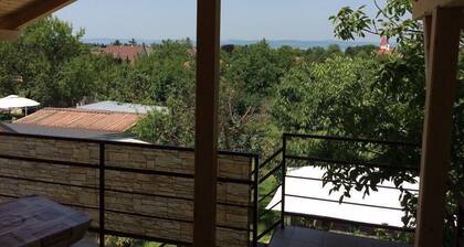 Holiday house Balatonszárszó for 1 - 16 persons with 5 bedrooms - Holiday home