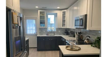 LUX and Modern Newly Renovated Greys Ferry Home Near Center City
