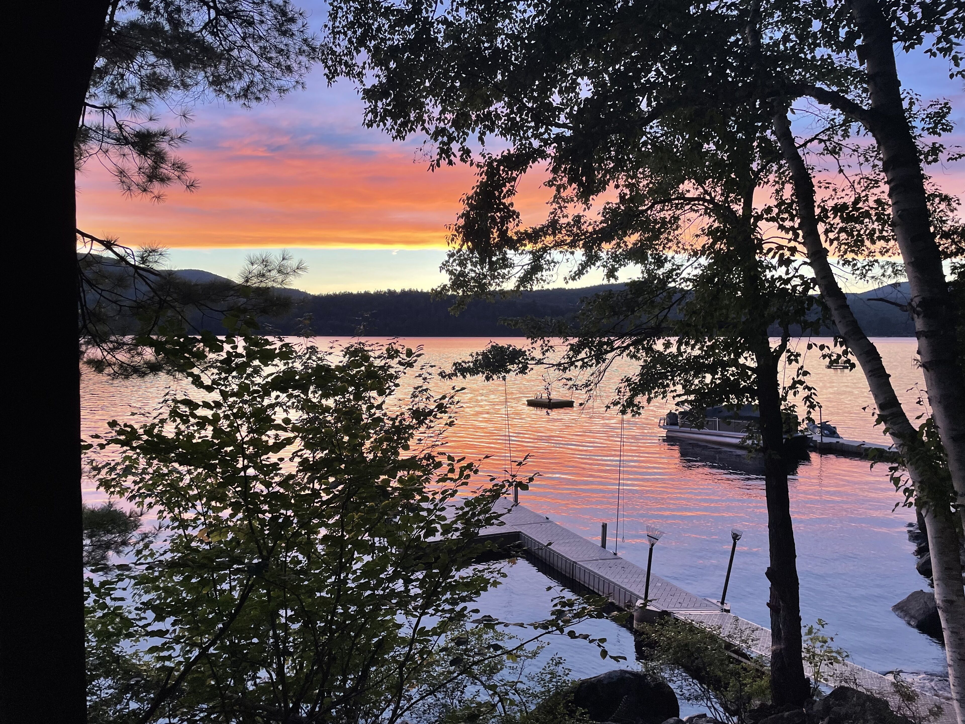 A lakeside view with a dock and boats, surrounded by trees.