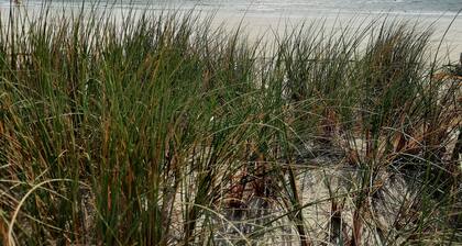 Maison au bord de mer, plage Ă 150 m