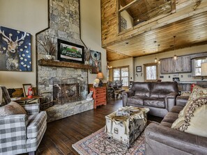 智能电视、壁炉、DVD 播放器