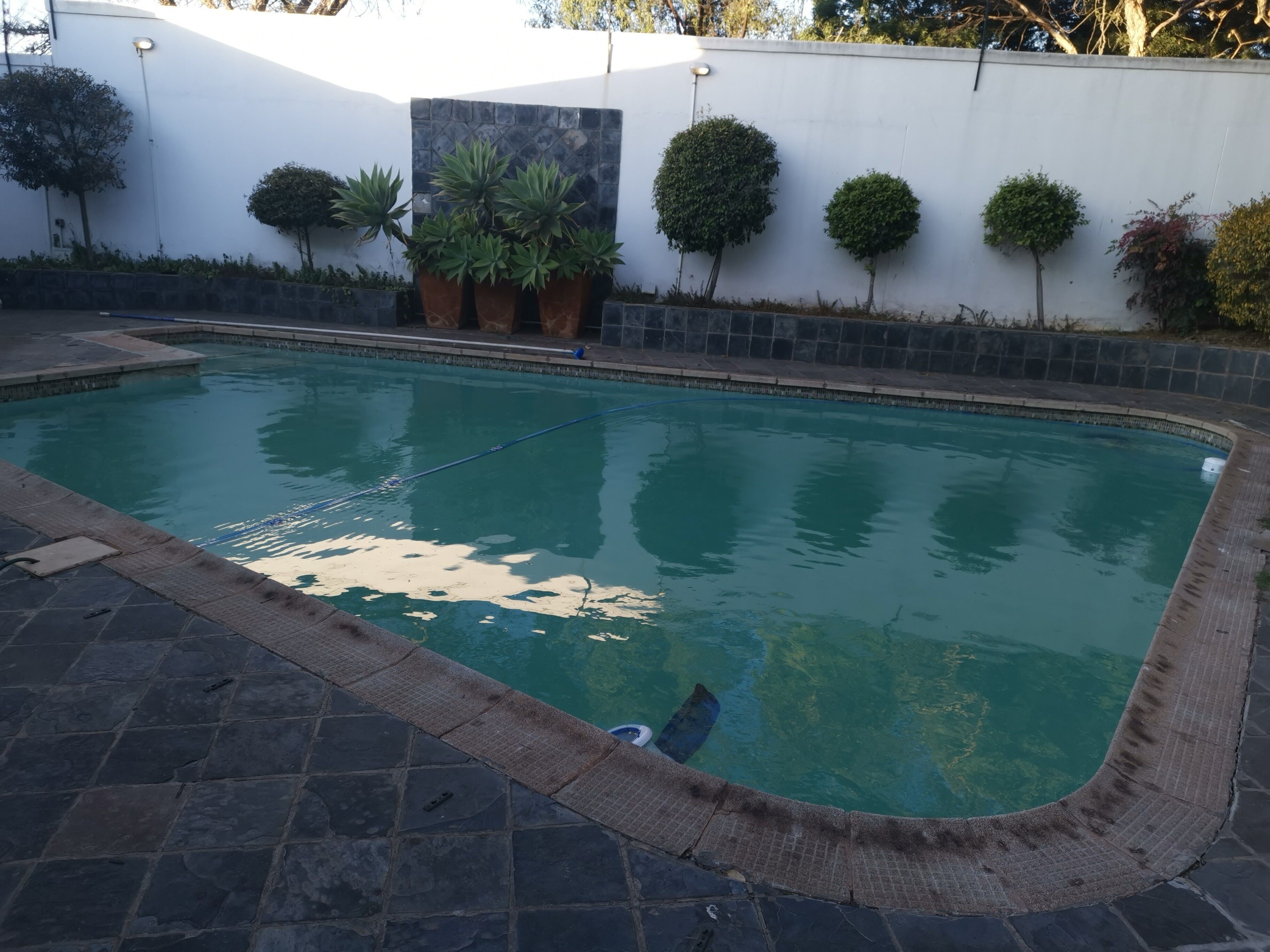 A rectangular swimming pool with a stone border, surrounded by a low wall and potted plants.