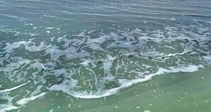 #Butterfly to the Beach just 16 min. to nearest Beach #Sleeps up to 8 guests!
