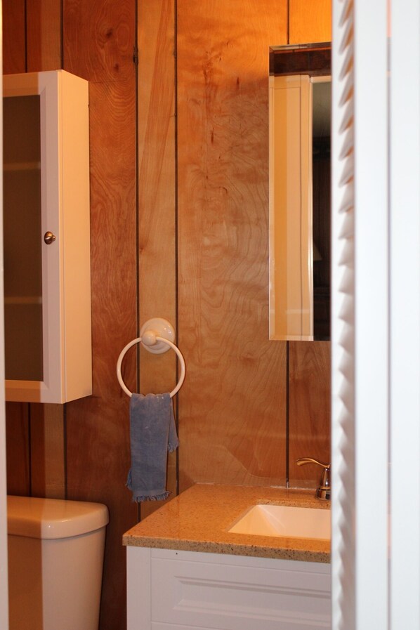 A bathroom with wooden paneling, a toilet, a sink with a countertop, and a mirror above the sink. - Fall colors and fun - lakes, waterfalls, ATV/UTV trails! (Crivitz)