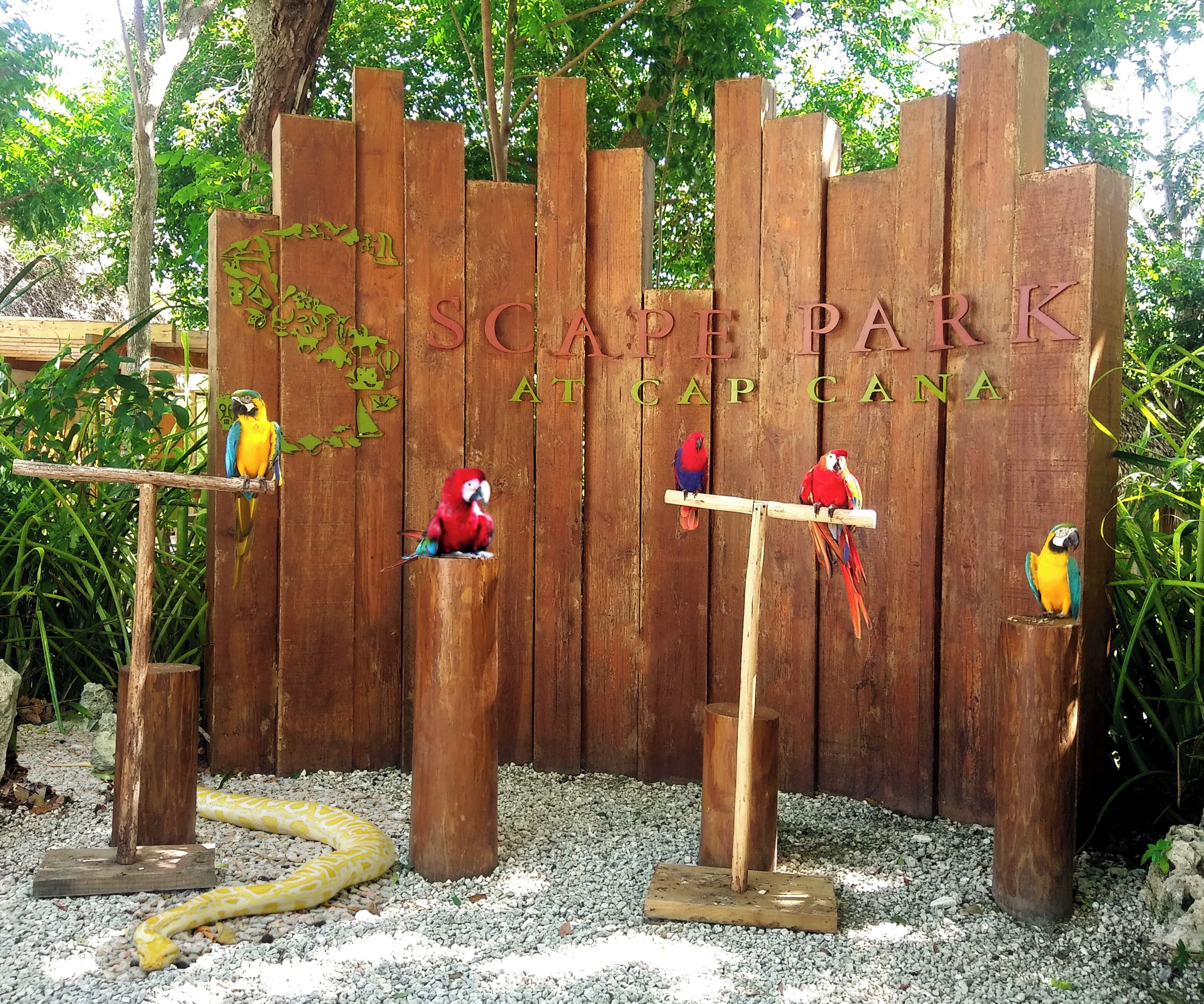 Ein Holzzaun mit dem Schriftzug 'SCAPE PARK AT CAP CANA' und Papageien-Skulpturen auf Holzbefestigungen.