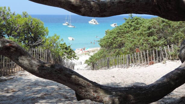 A beach with boats in the water, a sandy shore, and a wooden fence. - T3 sea view - beach & pool with all comforts (Linguizzetta)