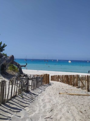 On the beach