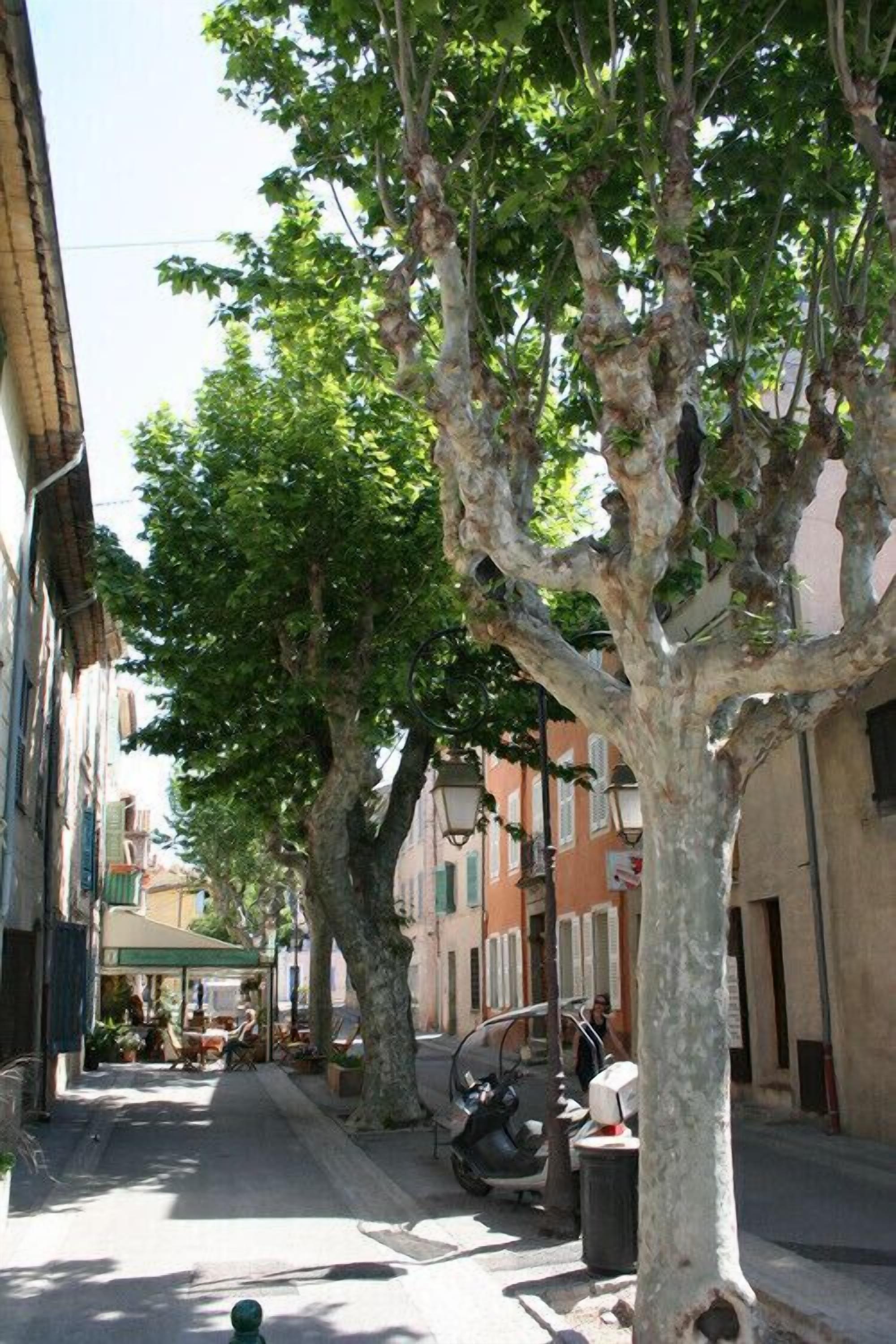 A narrow street lined with trees and buildings, a parked scooter, and a café with outdoor seating.