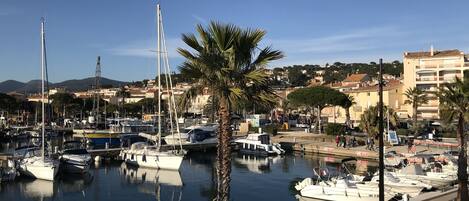 Un port de plaisance avec des bateaux amarrés, un palmier et des bâtiments en arrière-plan.