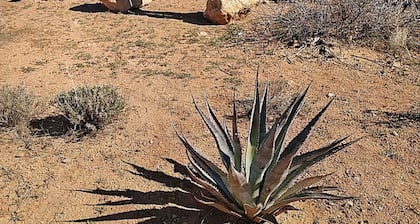 Near Rodeo, NM and Portal, AZ