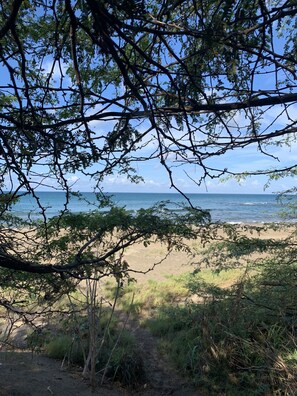 Beach nearby, beach towels
